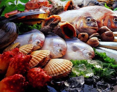 小智最新爆料海鲜台,海鲜台背后的秘密与惊喜