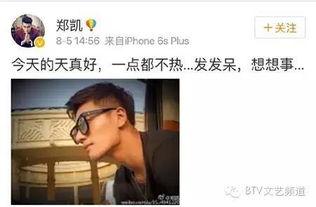 王宝强爆料郑凯视频,一场娱乐圈的悬疑大剧